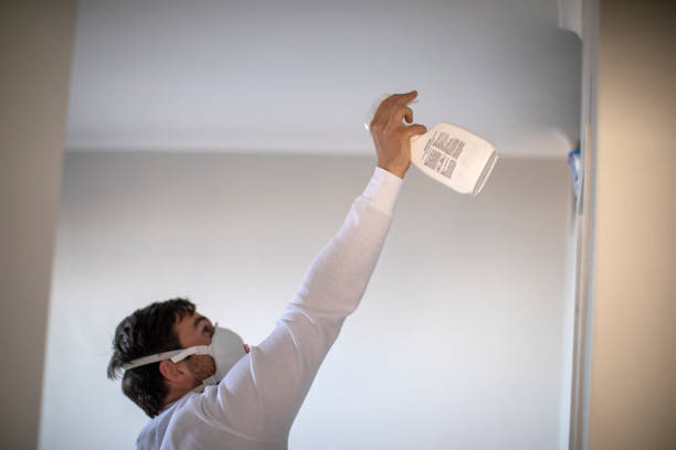 Best Mold Testing  in Greenwood, SC
