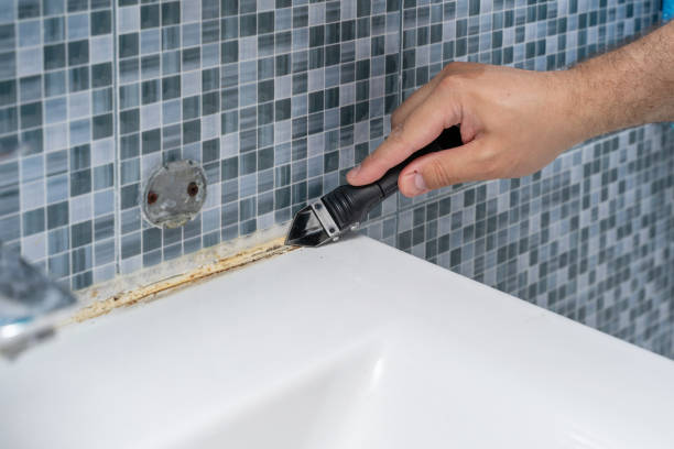 Best Mold Removal Company Near Me  in Greenwood, SC