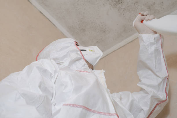 Best Office Mold Removal Services  in Greenwood, SC