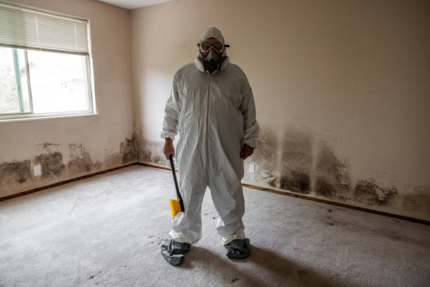 Office Mold Removal Services in Greenwood, SC